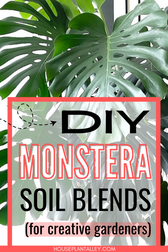 monstera deliciosa soil 1