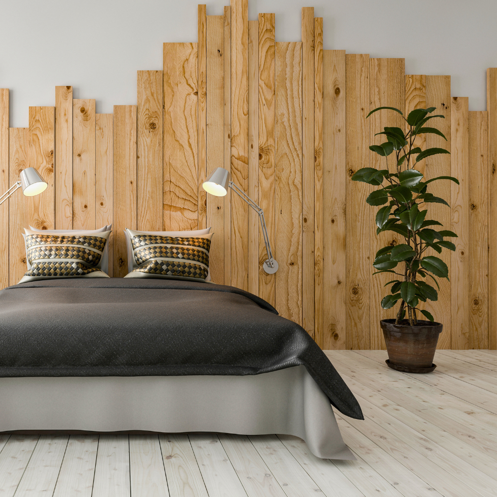 rubber plant for bedroom