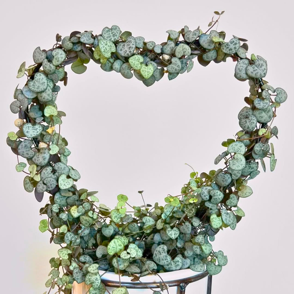 string of hearts for bedroom 1