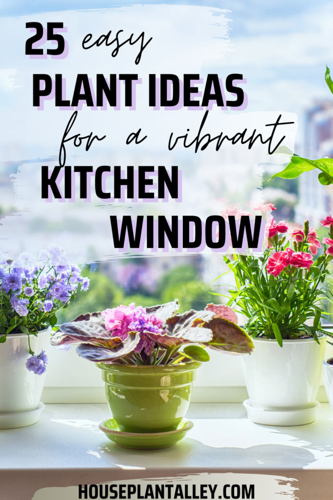 best kitchen window plants