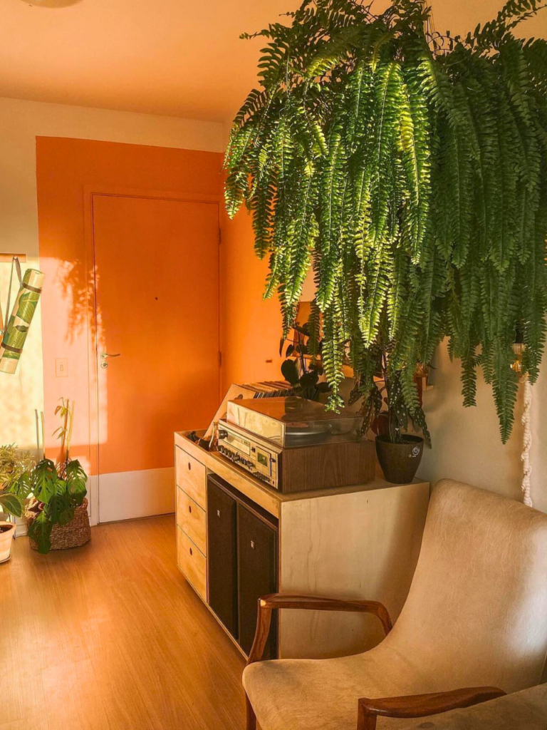 hanging houseplant in living room corner
