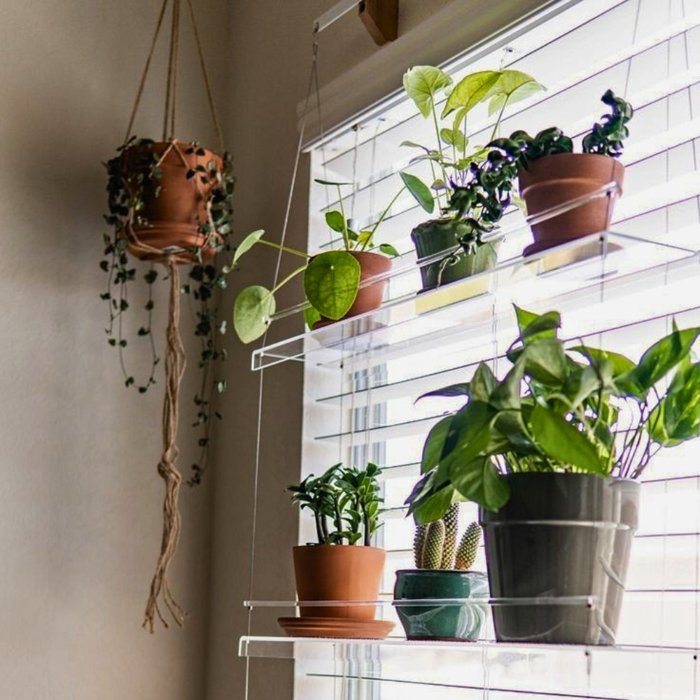 hanging window plant shelves