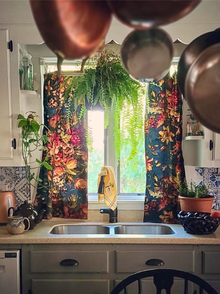 hanging window plants ideas