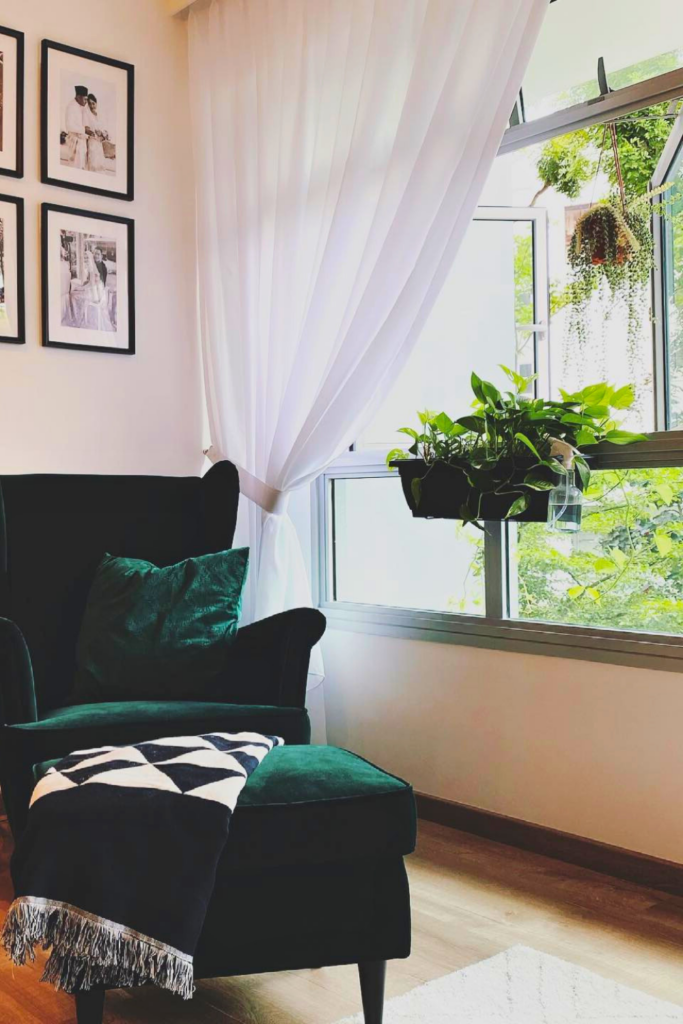 indoor window for plants