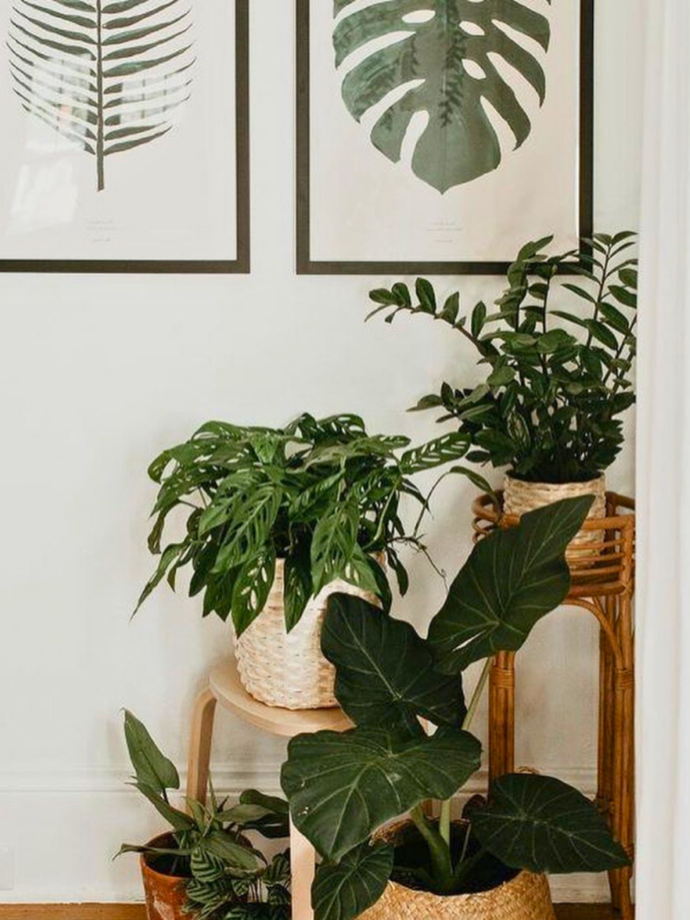 living room corner plant stands