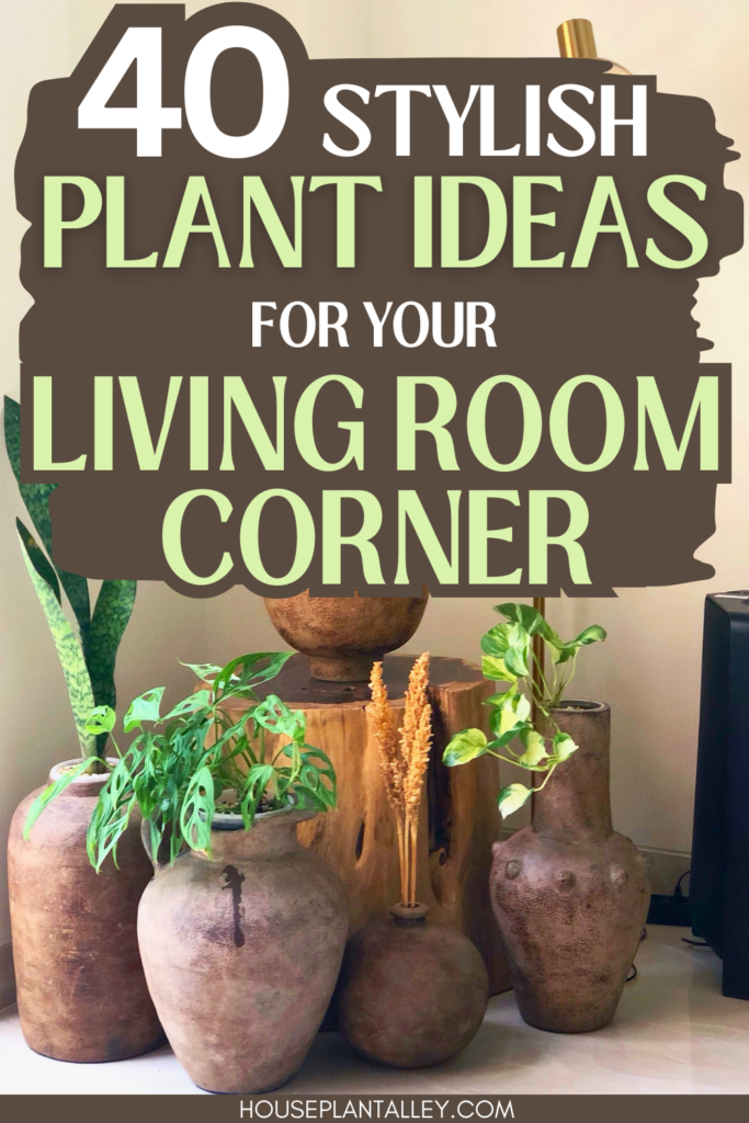 living room corner plants 2