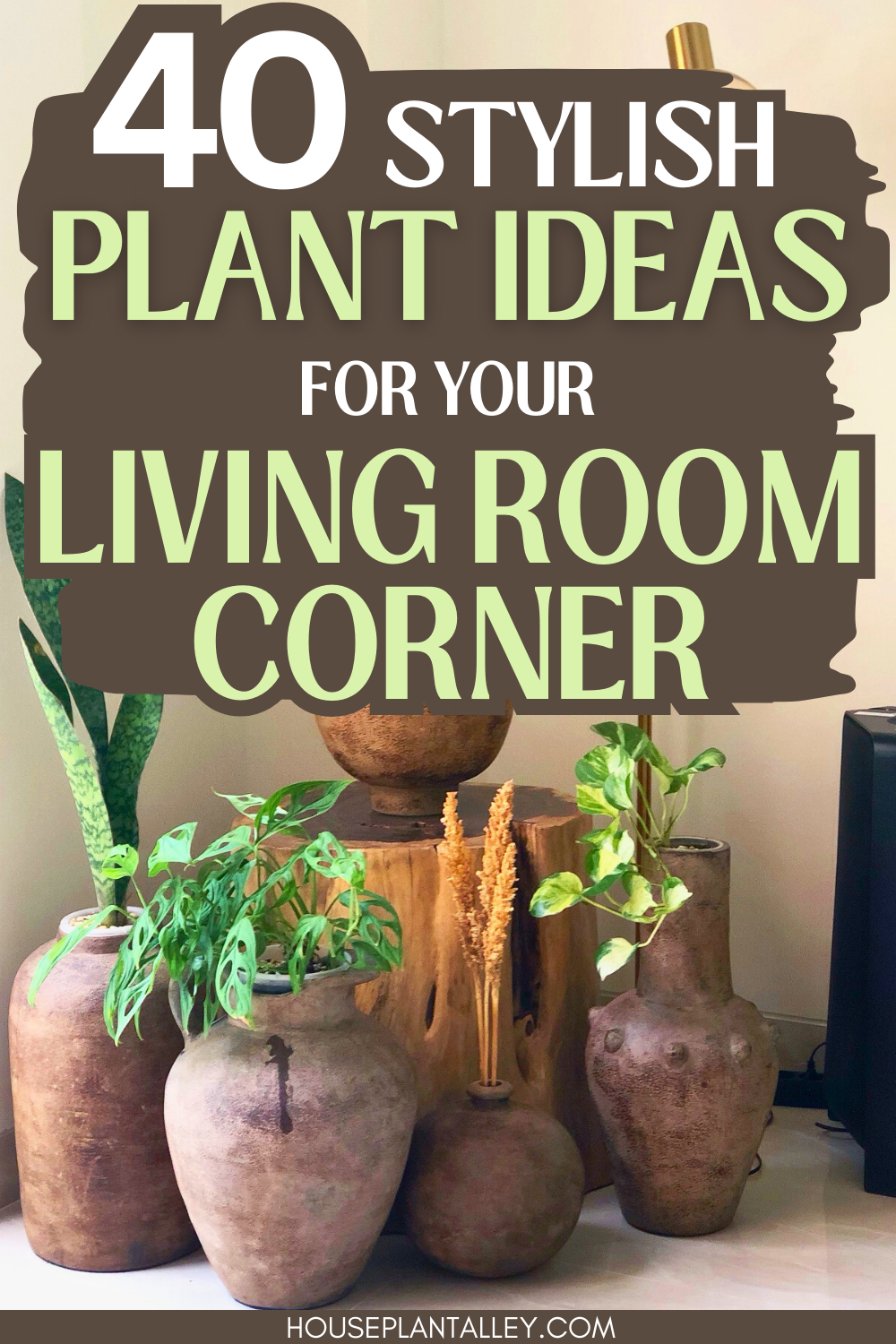 40 Best Living Room Corner Plants | Houseplant Alley