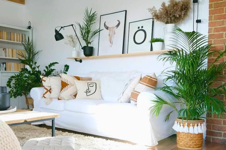 living room corner plants