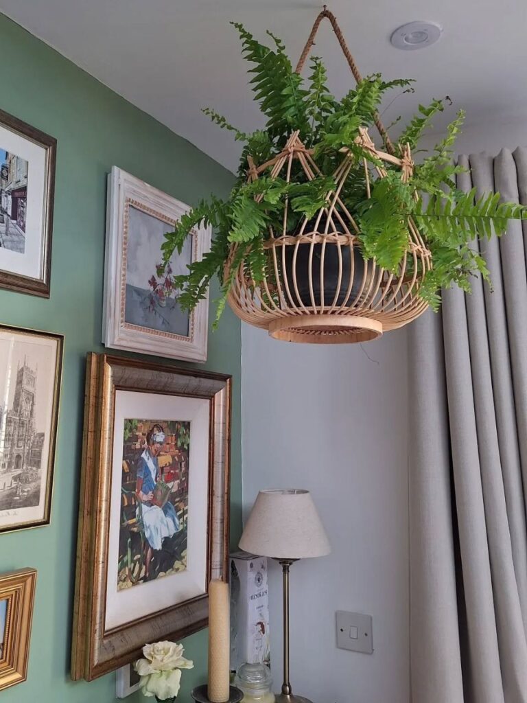 living room designs with plants 1