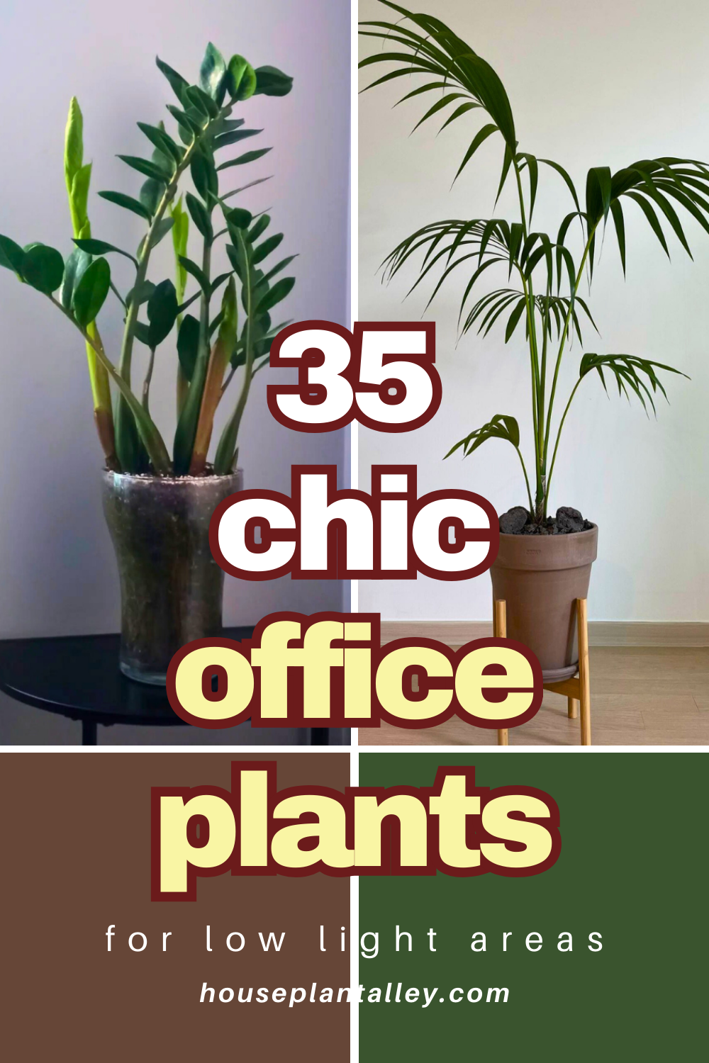 Low Light Office Plants: Top Indoor Picks for Windowless Workspaces ...