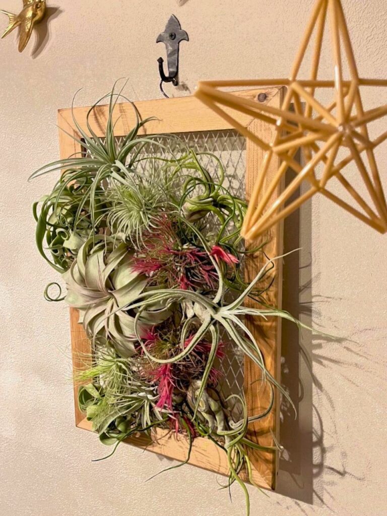 modern living room houseplants 1