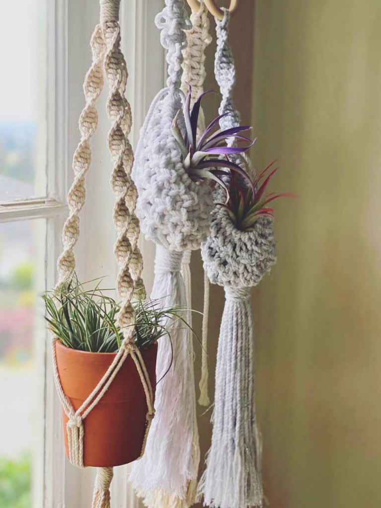 plants hanging in front of kitchen window