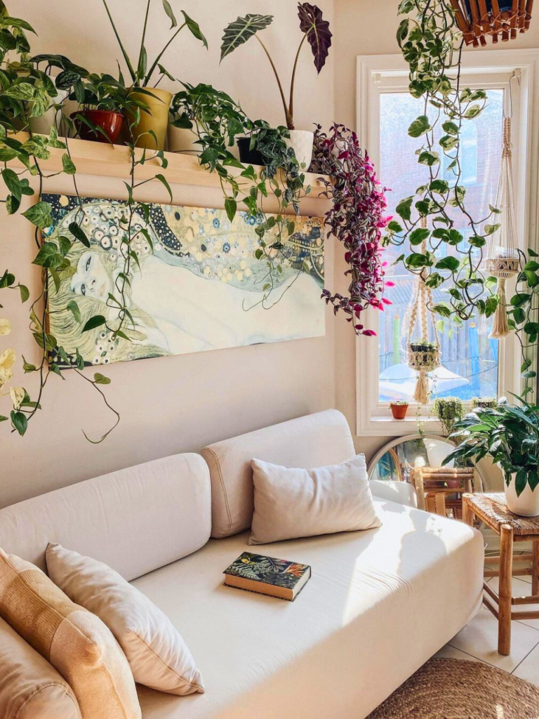 plants window ideas