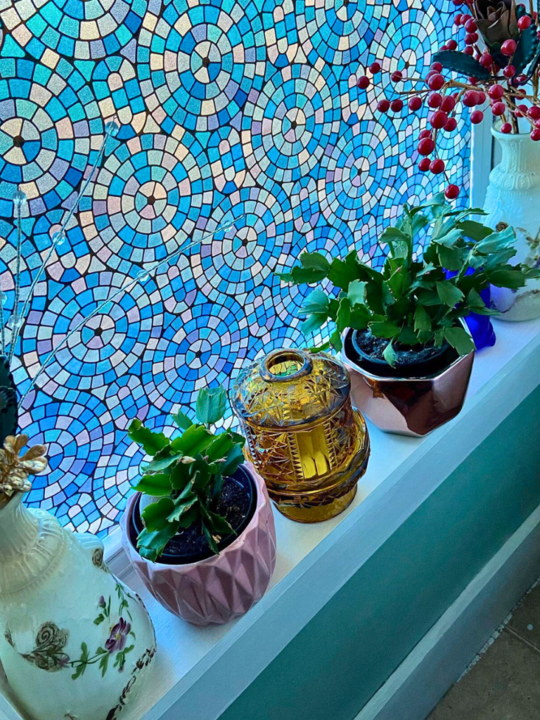 plants windowsill
