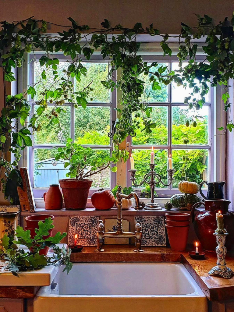 window plants decor ideas