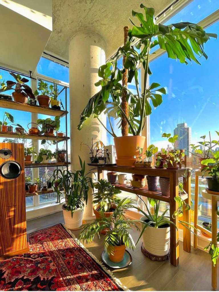 window plants ideas