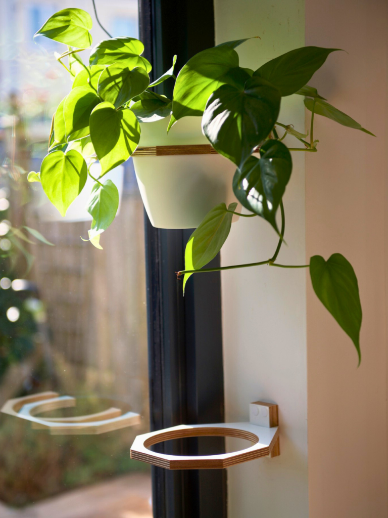 window wall plants ideas
