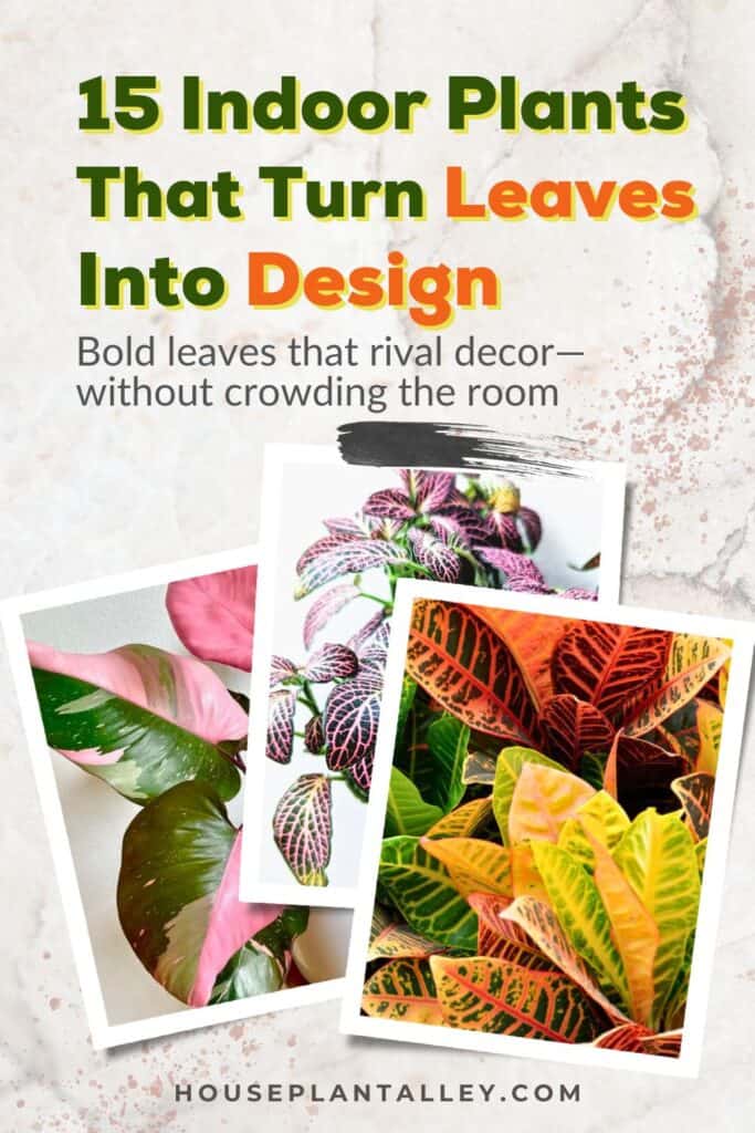0549d 15 Beautiful Houseplants With Variegated Leaves to Style Your Space