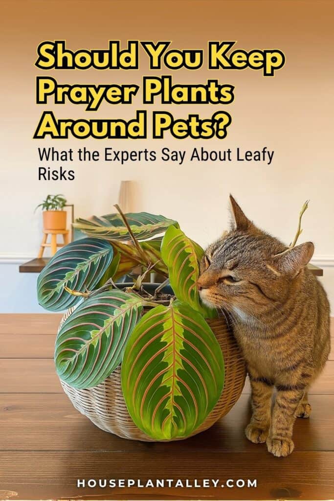 0850 Prayer Plant Pet Safety – Is Calathea Safe for Cats and Dogs