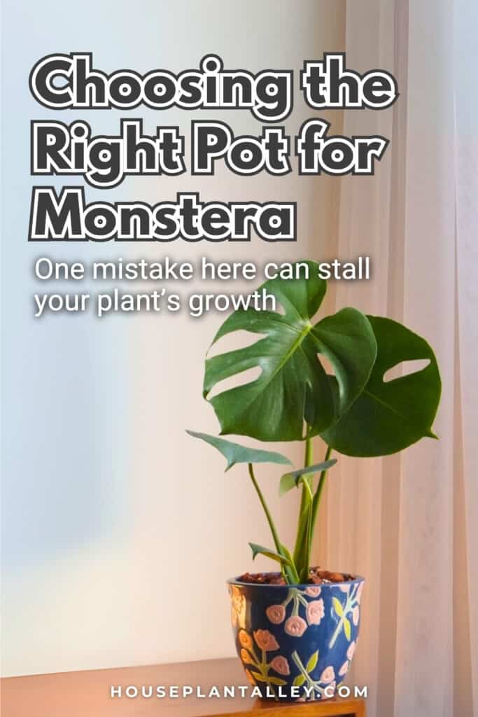 0891 Best Pots for Monstera Plants Expert Potting Tips for Monstera Deliciosa Adansonii