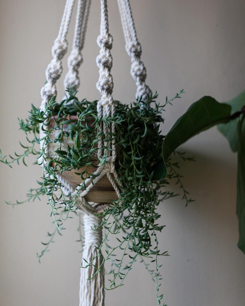 String of Fishhooks