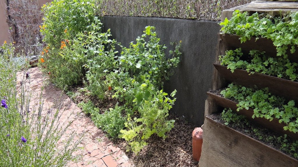 affordable plants and materials