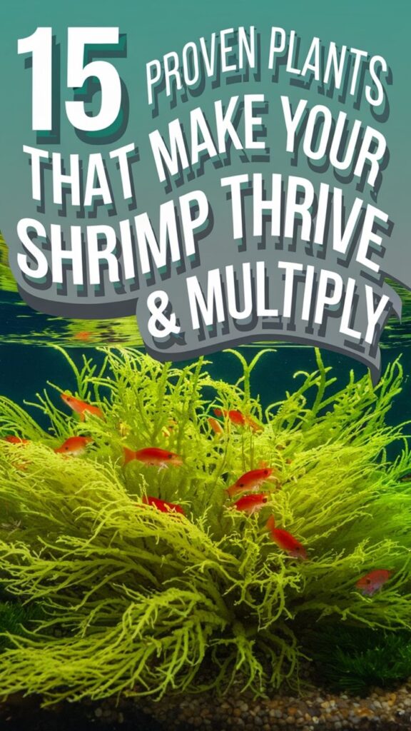 best plants for shrimp tank