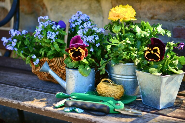 15 Easy Flowering Plants for Beginners
