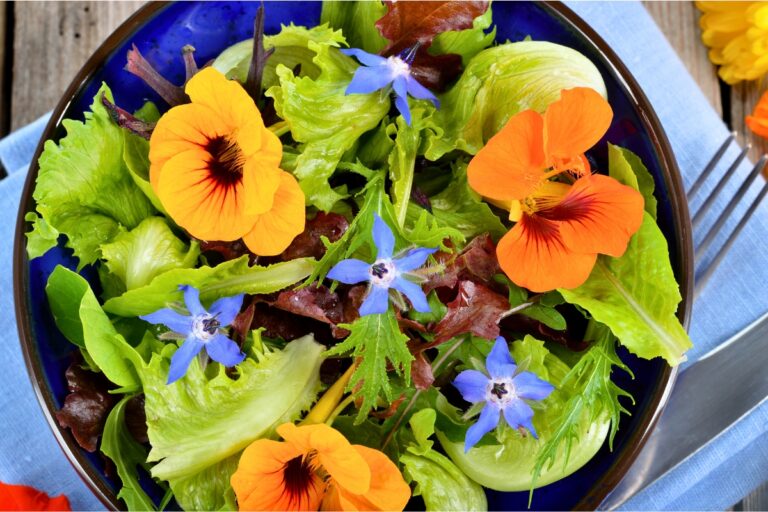 15 Pretty Edible Flowers You Can Grow & Eat