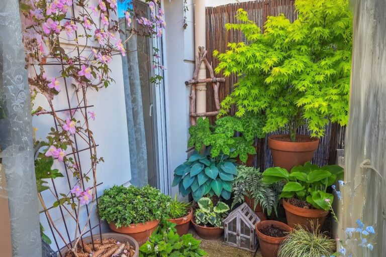 10 Elegant Balcony Trees for a Luxe Urban Jungle