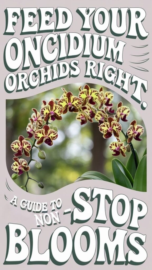 fertilizing oncidium orchids