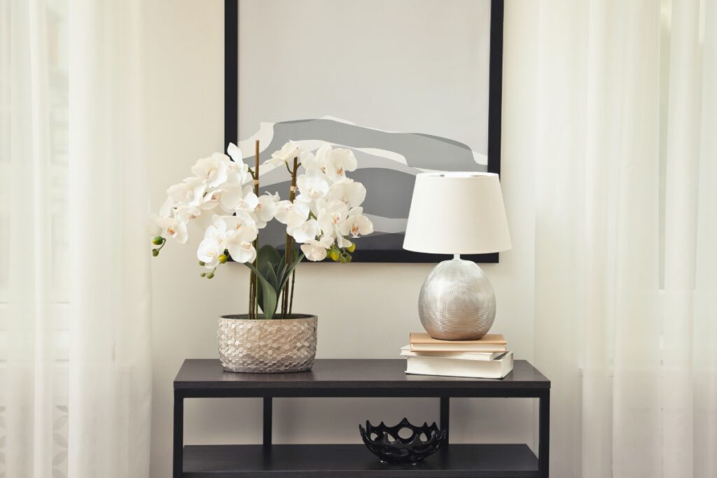 growing orchids indoors
