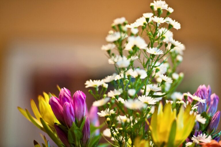 indoor flowers plants