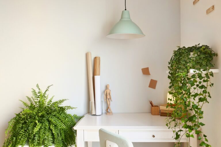 20 Indoor Plants That Thrive in Stagnant Air