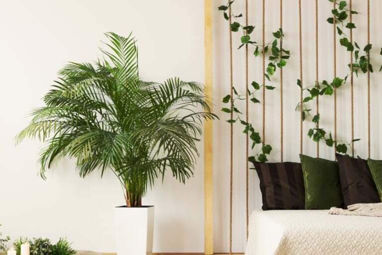 10 Low Maintenance Vines to Enhance Your Bedroom Ambiance