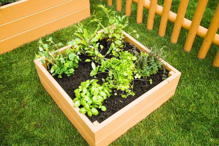 12 Mini Vegetable Plants for Tiny Gardens