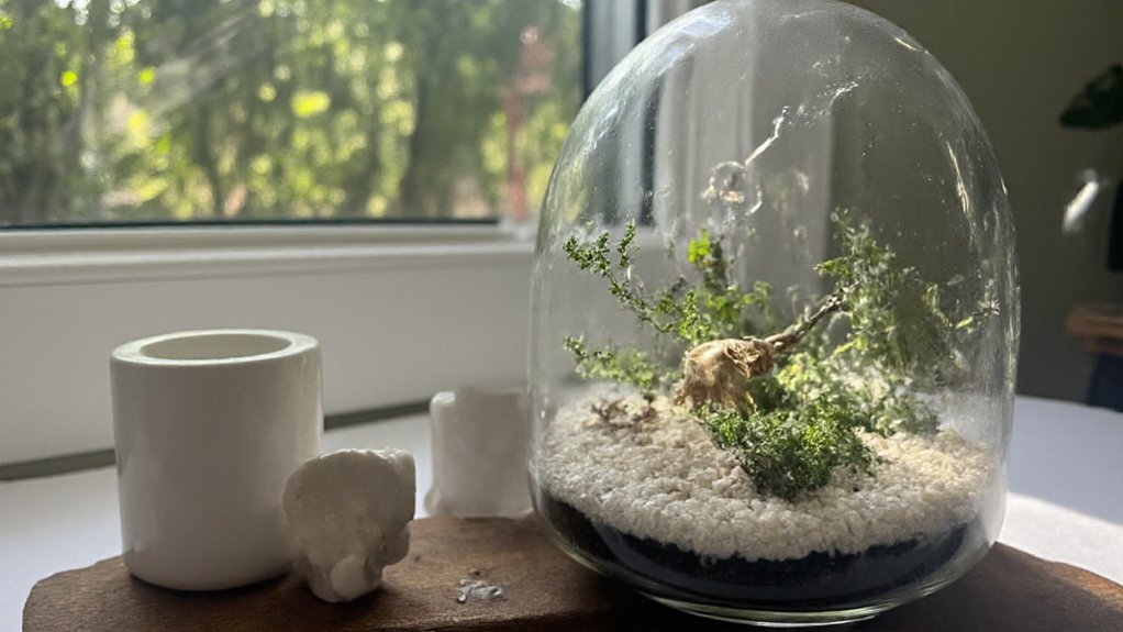 mini glass cloche wonderland
