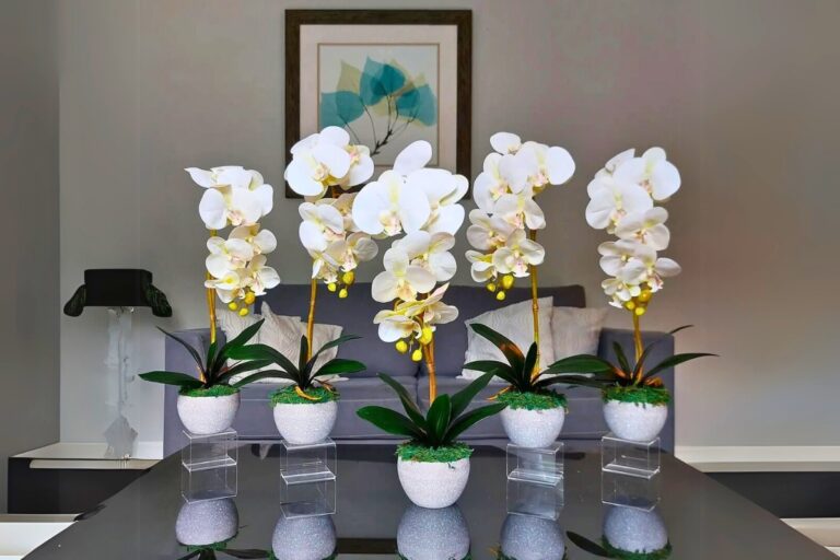 orchid display decor ideas