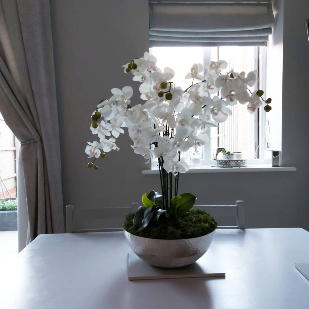 orchid on table