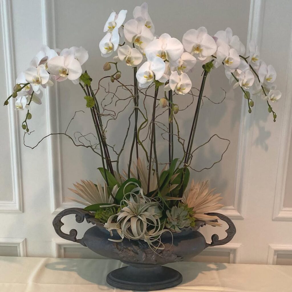 orchid planter