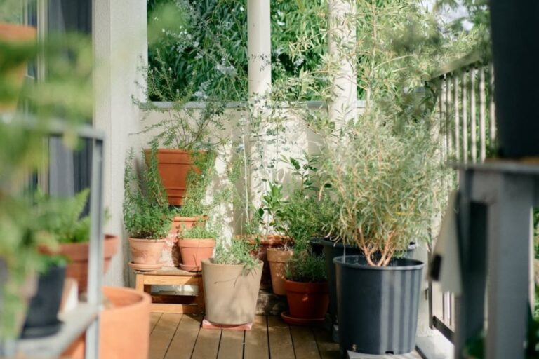 10 Pet-Friendly Trees to Grow on Your Balcony