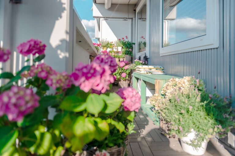 10 Best Pet-Friendly Plants for Small Balconies