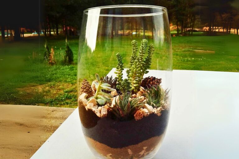 pet safe succulents in glass container