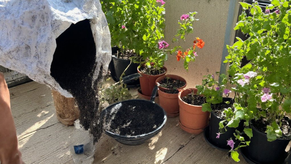 quality soil and fertilizers