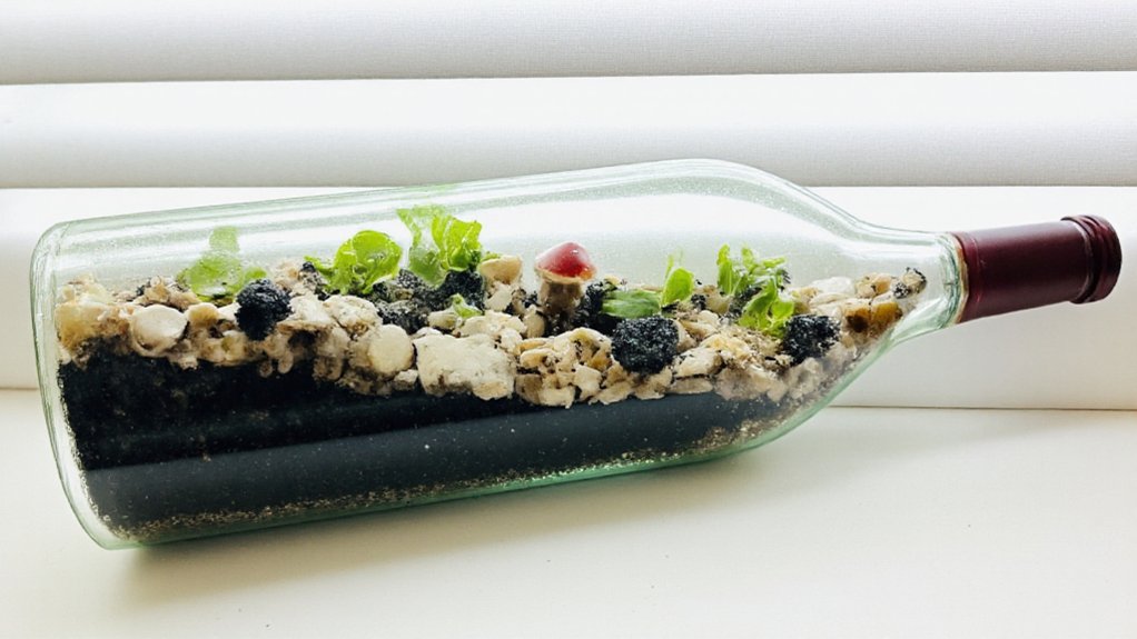 recycled bottle layered terrarium