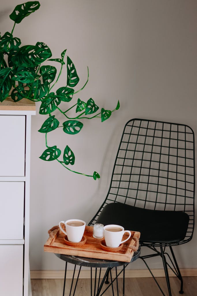 Relaxing indoor scene with two coffee mugs on a tray beside a Monstera plant and a wire chair.