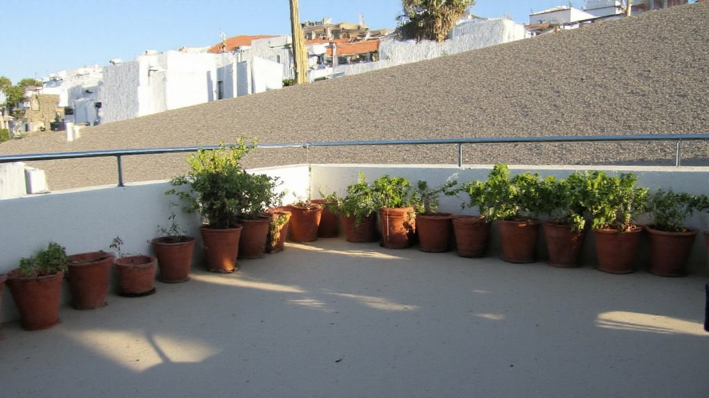 tailor garden to sunlight