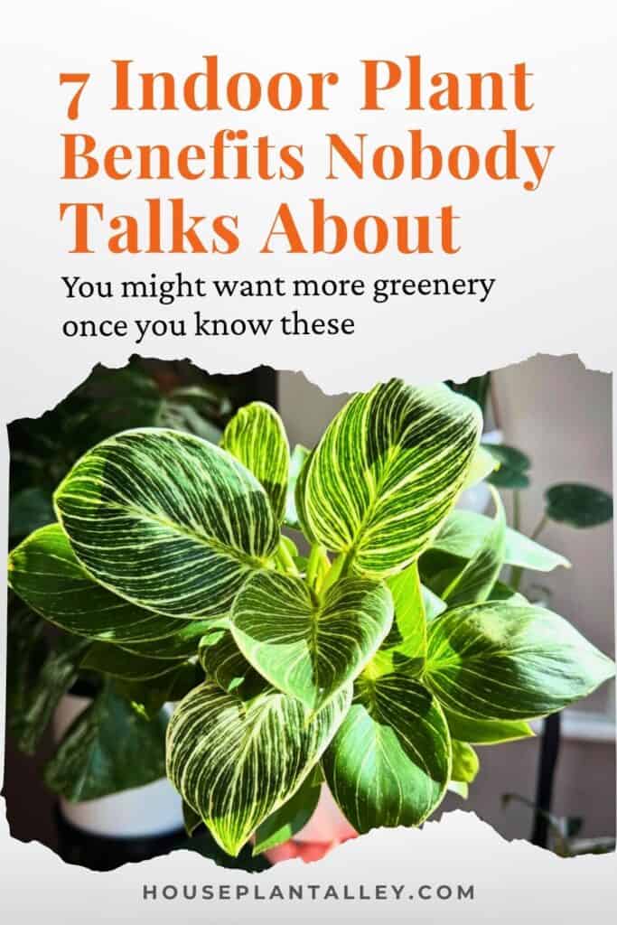 0423d Surprising Benefits of House Plants Indoor for Air Purification Mood Stylish Decor