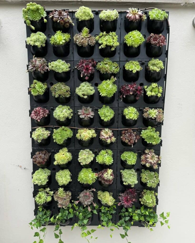 how to build an outdoor living wall