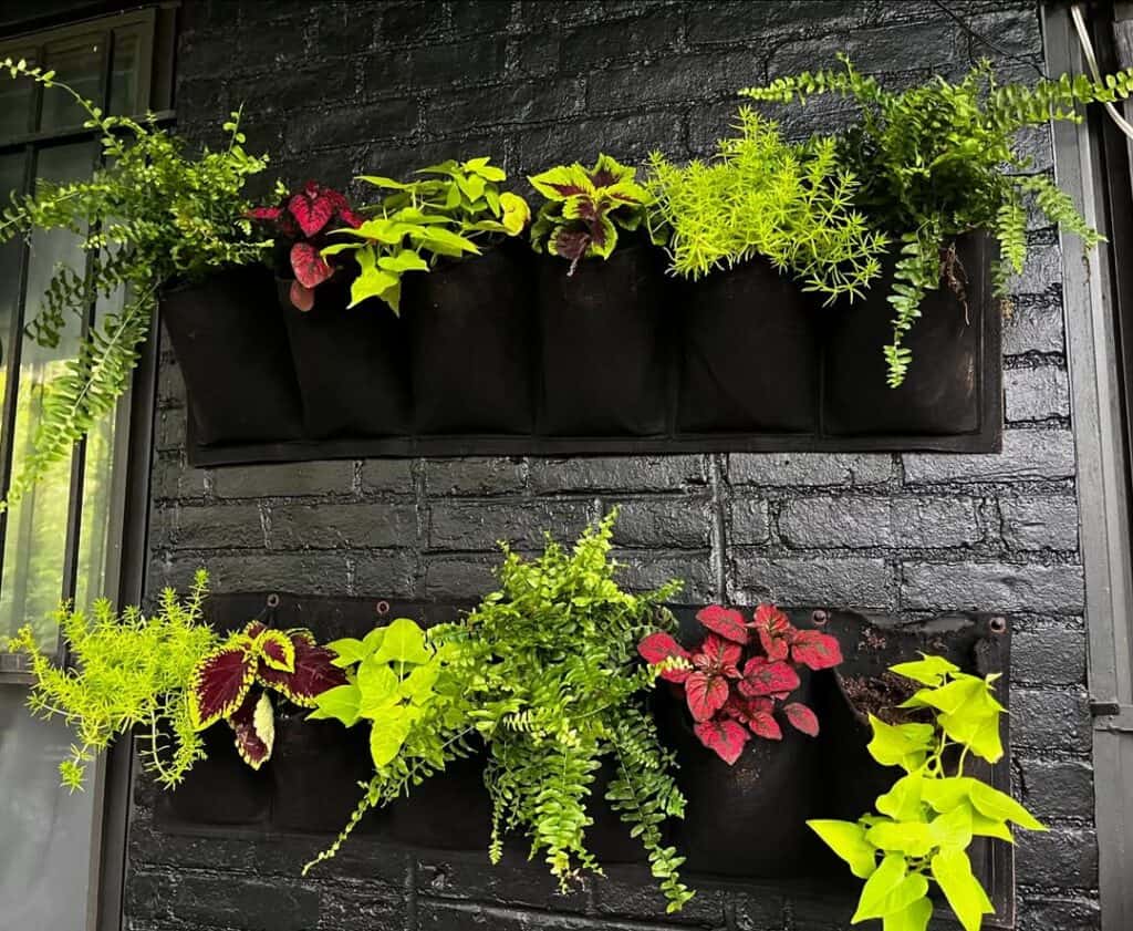 how to create an indoor living wall